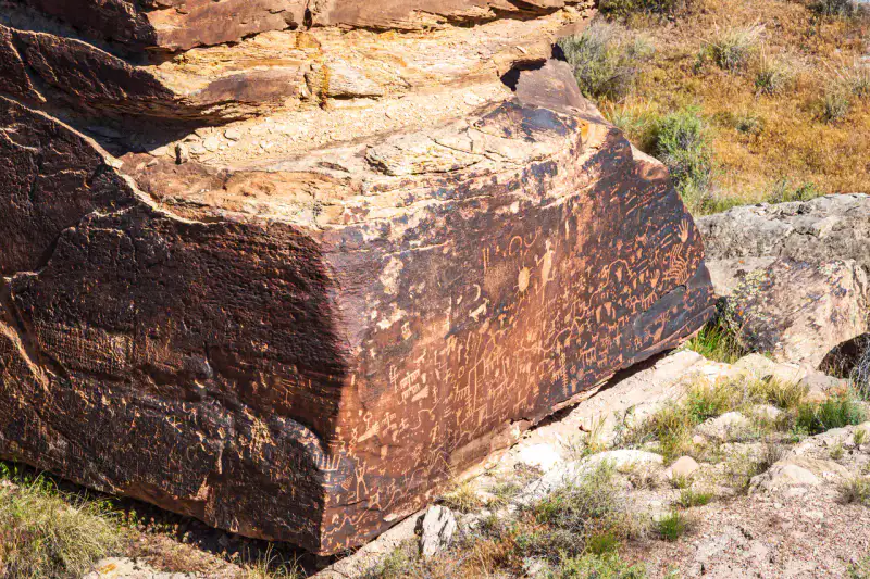 Newspaper Rock - Petrified Forest et Painted Desert