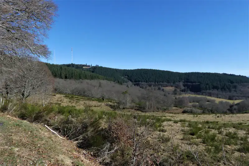 Mont Bessou - Plateau de Millevaches