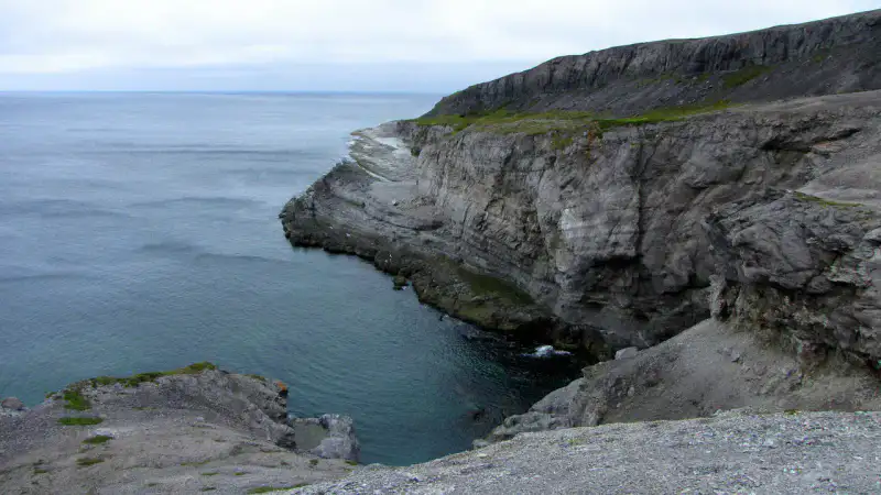 Burnt Cape Ecological Reserve - L'Anse aux Meadows et péninsule Northern