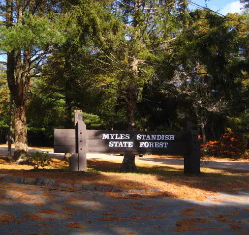 Myles Standish State Forest - Plymouth et Cape Cod Bay