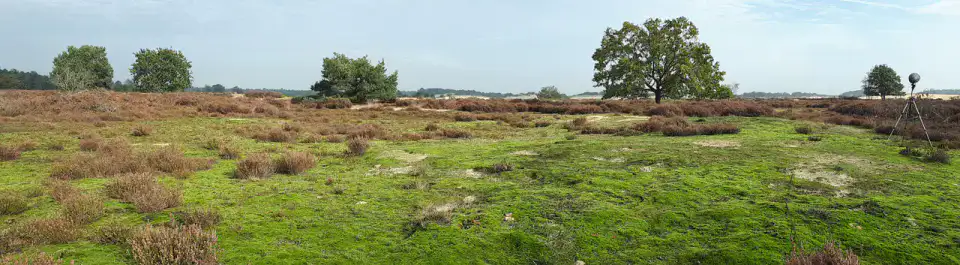 Loonse en Drunense Duinen - Tilburg, Efteling et Loonse Duinen