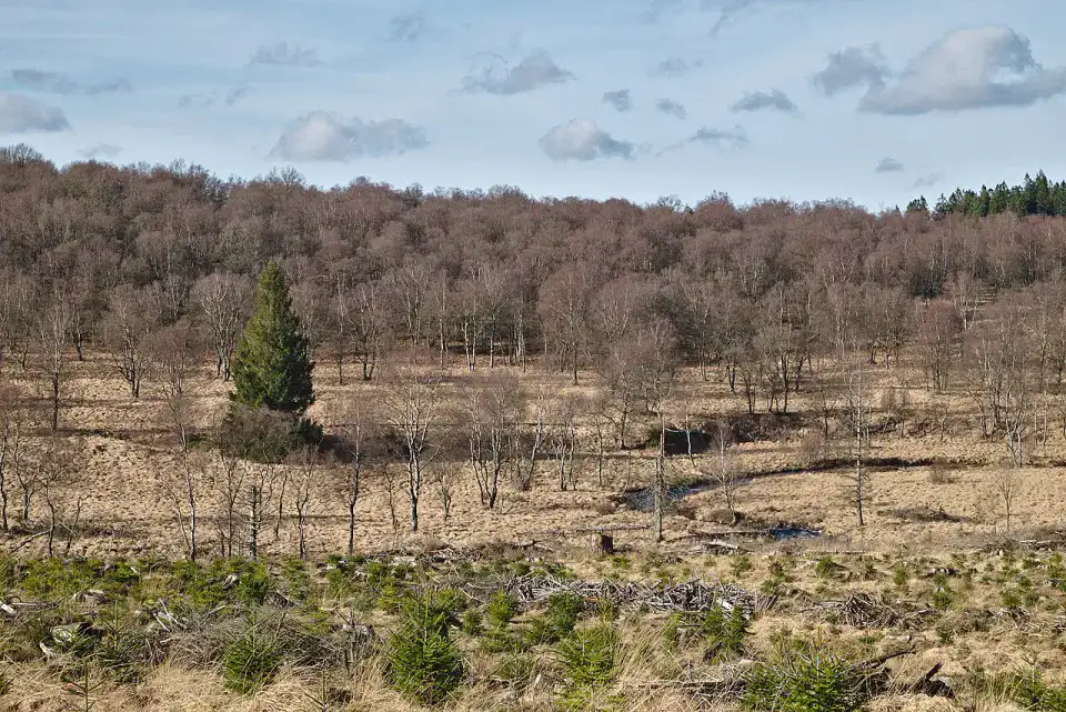 Hautes Fagnes