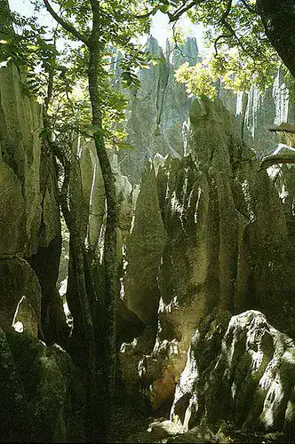 Forêt de pierre de Naigu - Forêt de pierre de Shilin
