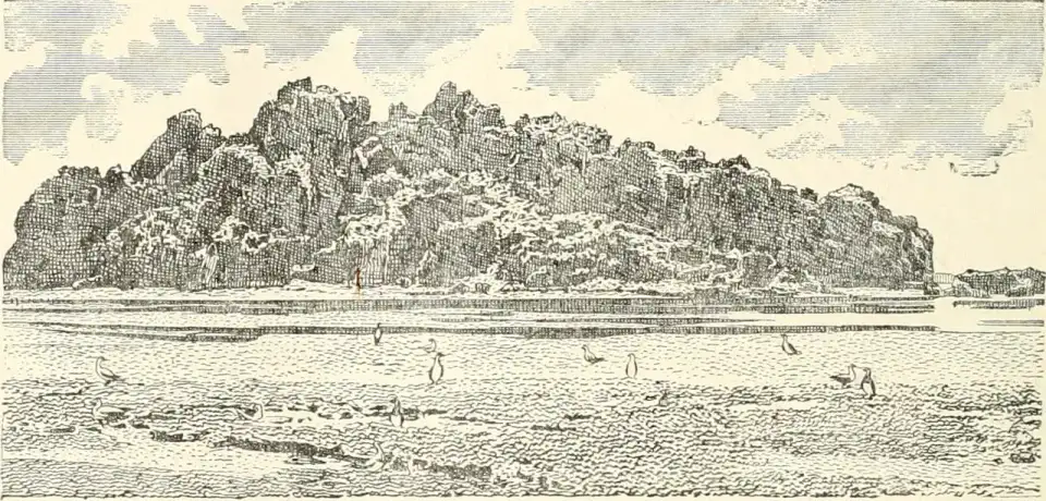 Rocher de Clipperton - Île de Clipperton