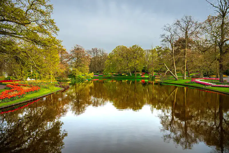 Keukenhof - Leyde, Lisse et champs de fleurs