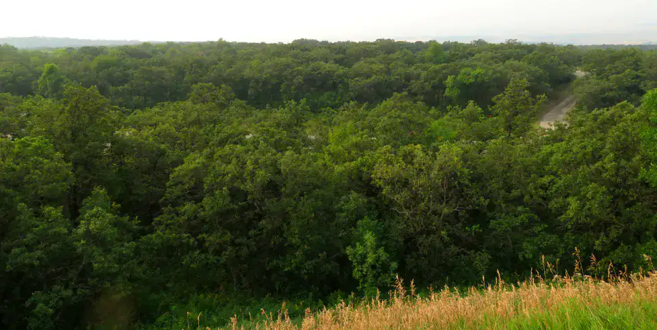 Turtle Mountain - Turtle Mountains et International Peace Garden