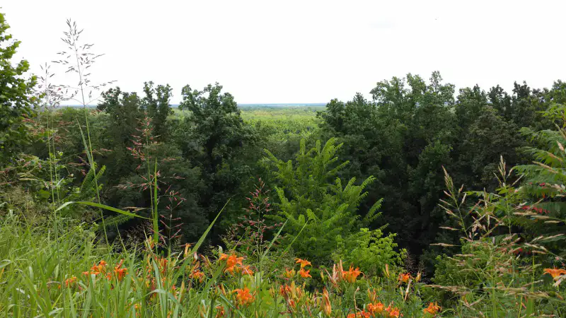 Mississippi River State Park - Delta de l'Arkansas et Helena