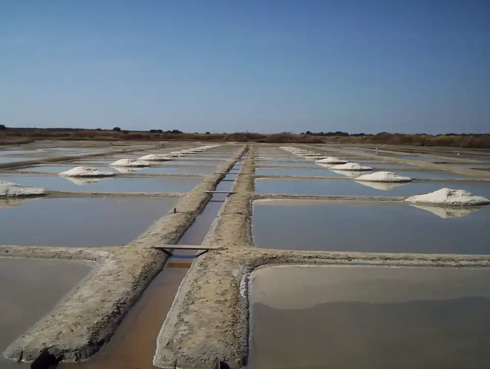 Marais salants - Guérande et Brière