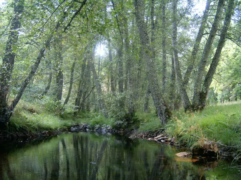 Parc naturel de Montesinho - Trás-os-Montes et Bragance