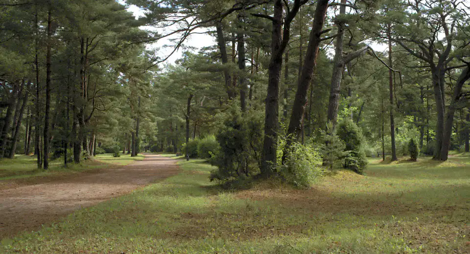 Parc Birutė - Palanga