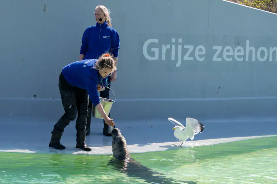 Ecomare - Texel