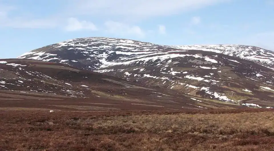 The Cheviot