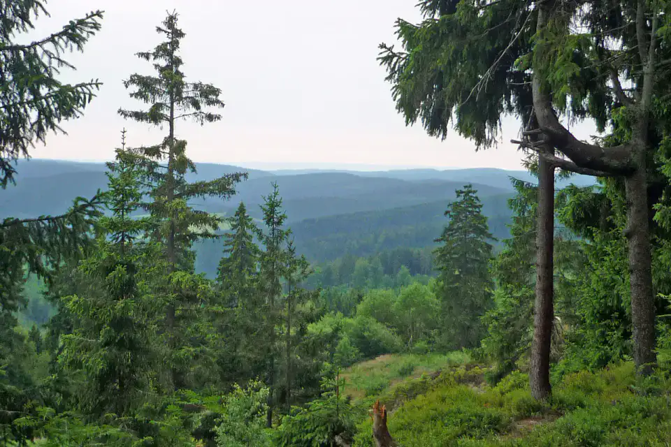Rennsteig - Foret de Thuringe