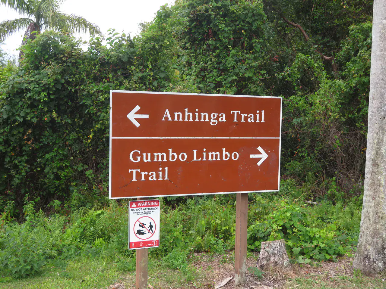 Anhinga Trail