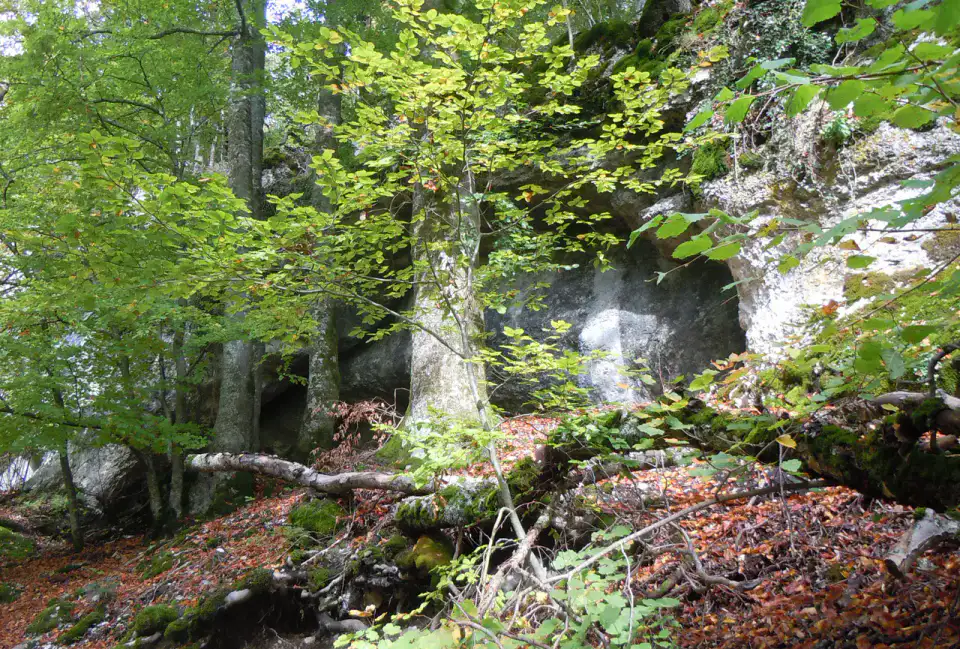 Grotte de l'Ours — Vallée de Kłodzko