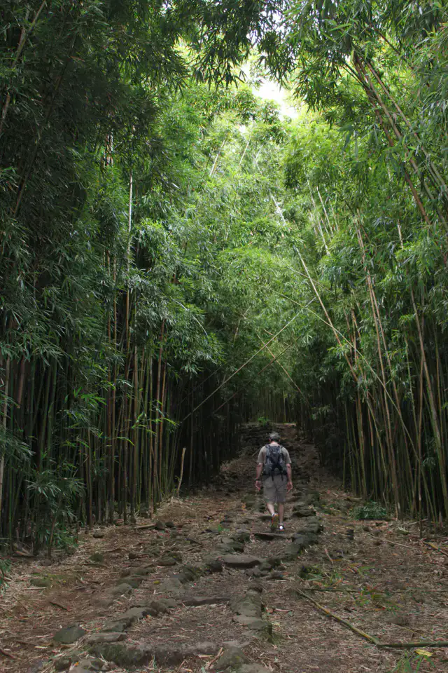Pipiwai Trail - Route de Hana