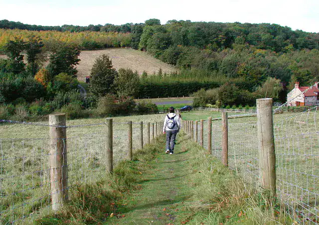 Yorkshire Wolds