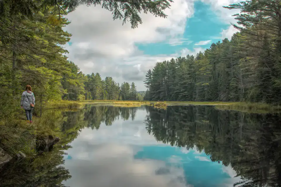 Sentier du lac Mizzy - Parc provincial Algonquin