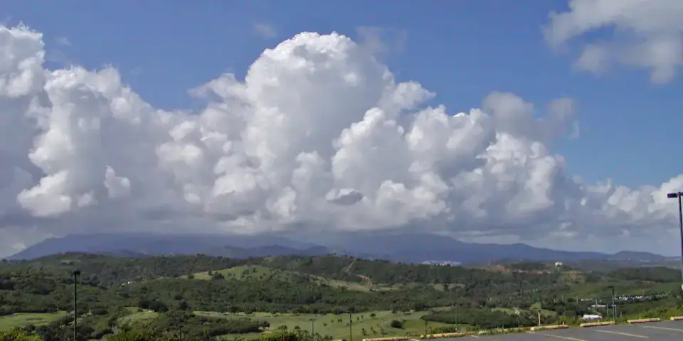 Forêt nationale d'El Yunque - Porto Rico