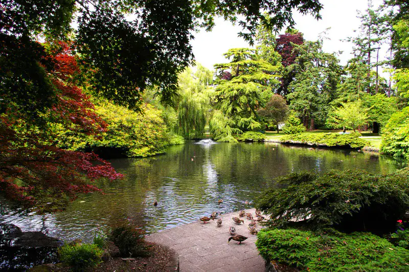 Beacon Hill Park - Victoria et sud de l'île de Vancouver
