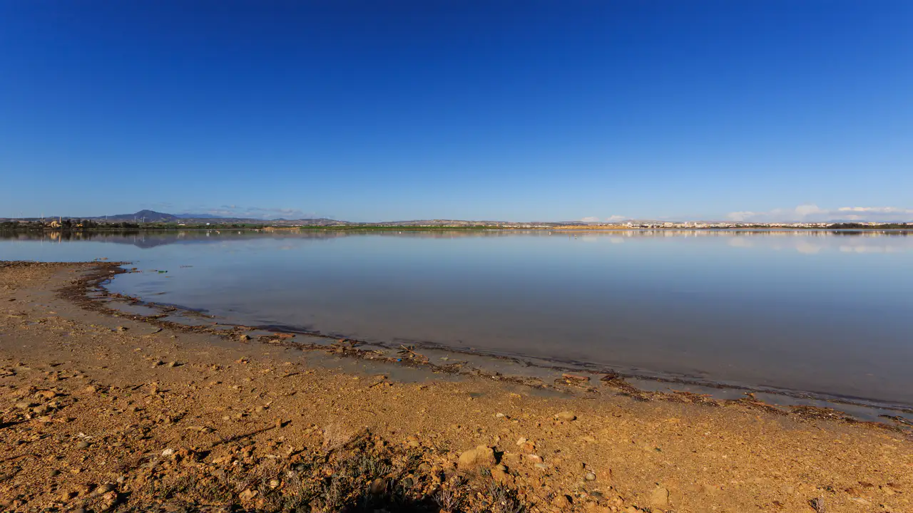 Lac salé de Larnaca — Larnaca et son lac salé