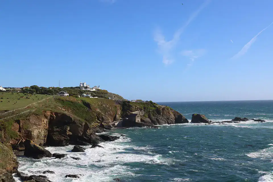 Lizard Point