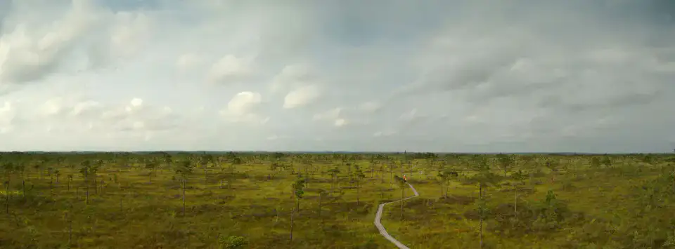 Tourbière de Kuresoo - Parc national de Soomaa