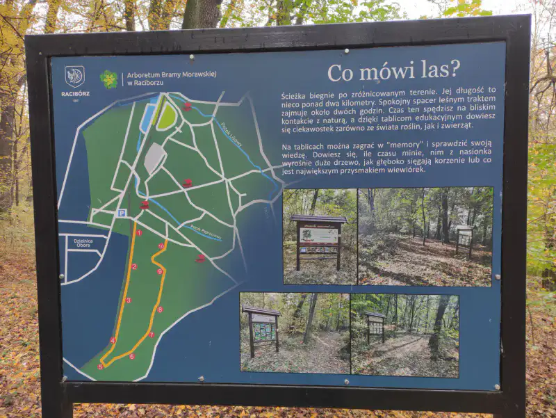 Arboretum Bramy Morawskiej — Racibórz et vallée de l'Oder
