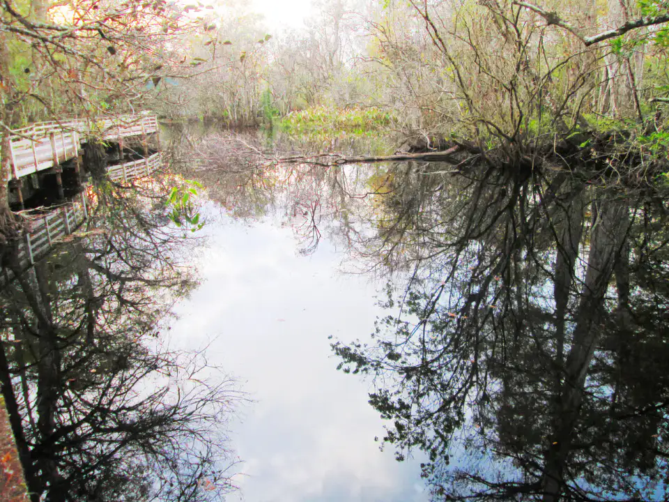 Corkscrew Swamp Sanctuary - Naples et Marco Island