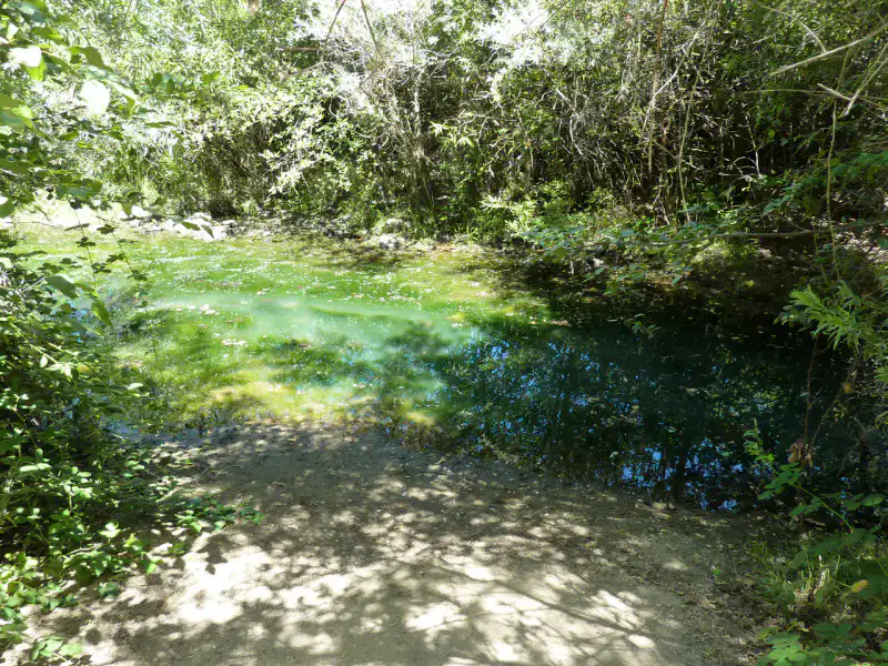 Marshall Gold Discovery - Gold Country