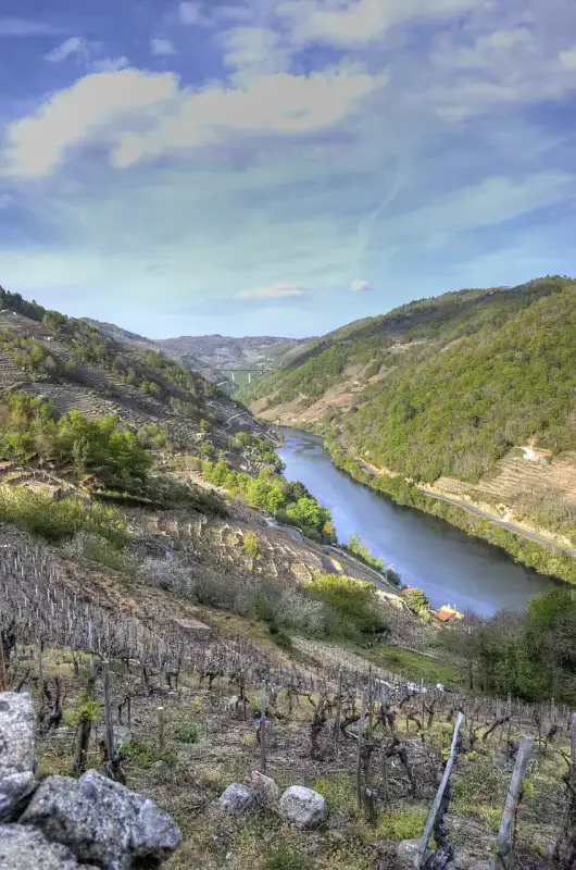 Vignobles de Ribeira Sacra - Ribeira Sacra