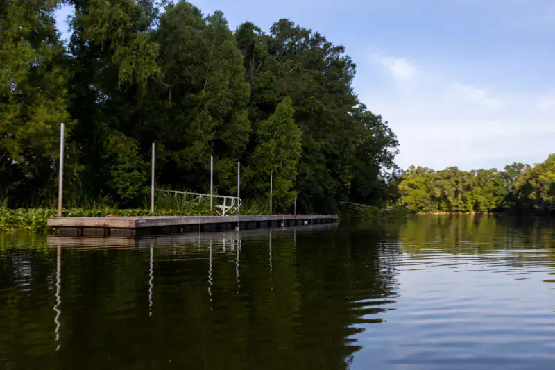 Henderson Swamp - Atchafalaya Basin