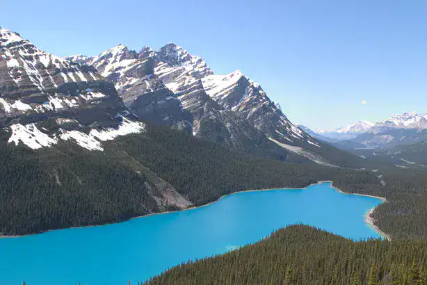 Peyto Lake - Promenade des Glaciers
