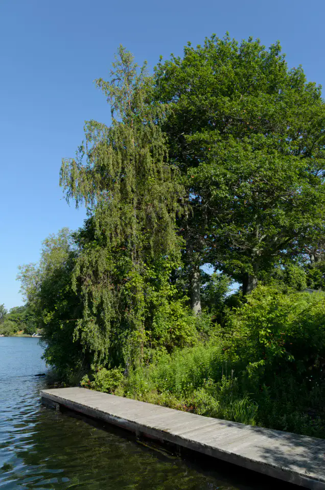 Parc national des Mille-Îles - Kingston et Mille-Îles