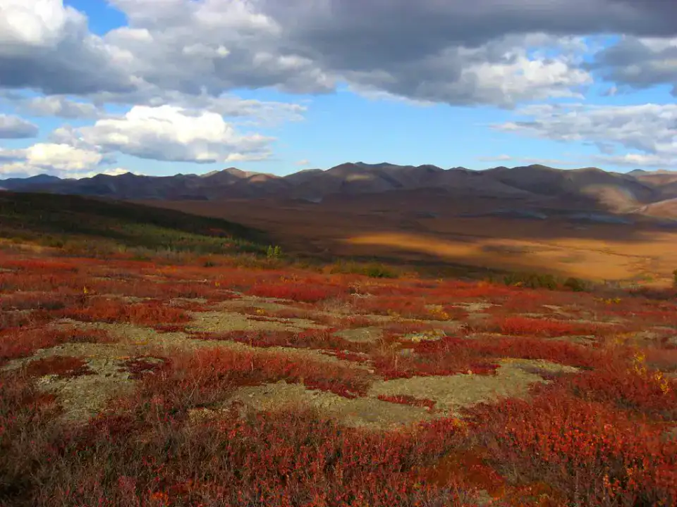 Dempster Highway - Tombstone et route Dempster
