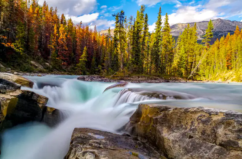 Sunwapta Falls - Promenade des Glaciers