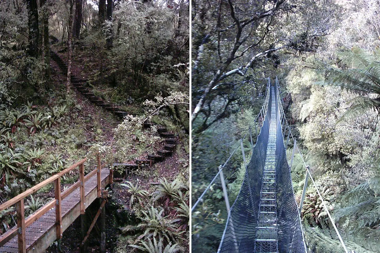 Rakiura Track