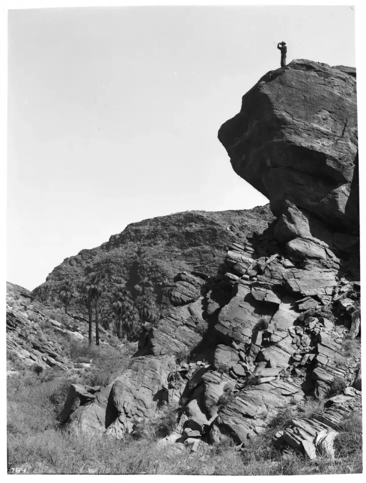 Indian Canyons - Palm Springs