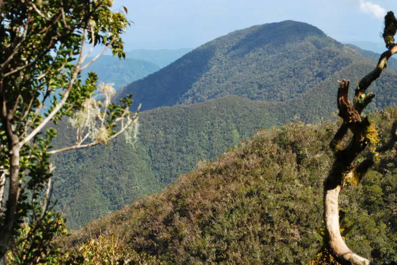 Blue Mountains — Kingston et les Blue Mountains