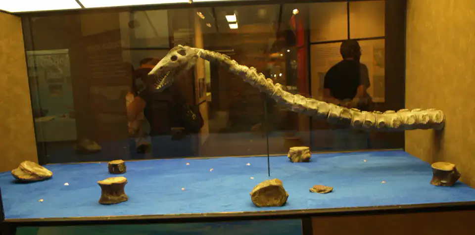 Canadian Fossil Discovery Centre - Vallée de la Pembina