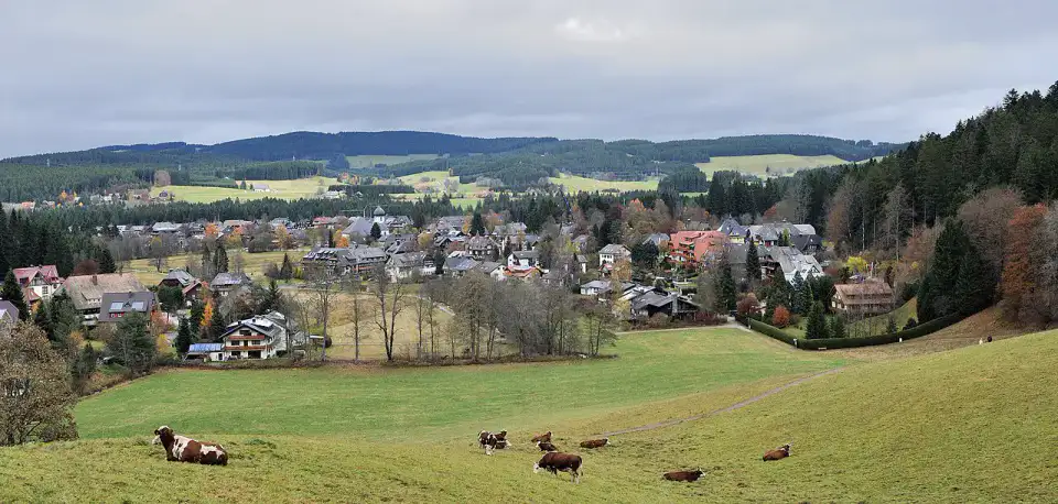 Hinterzarten - Foret-Noire sud