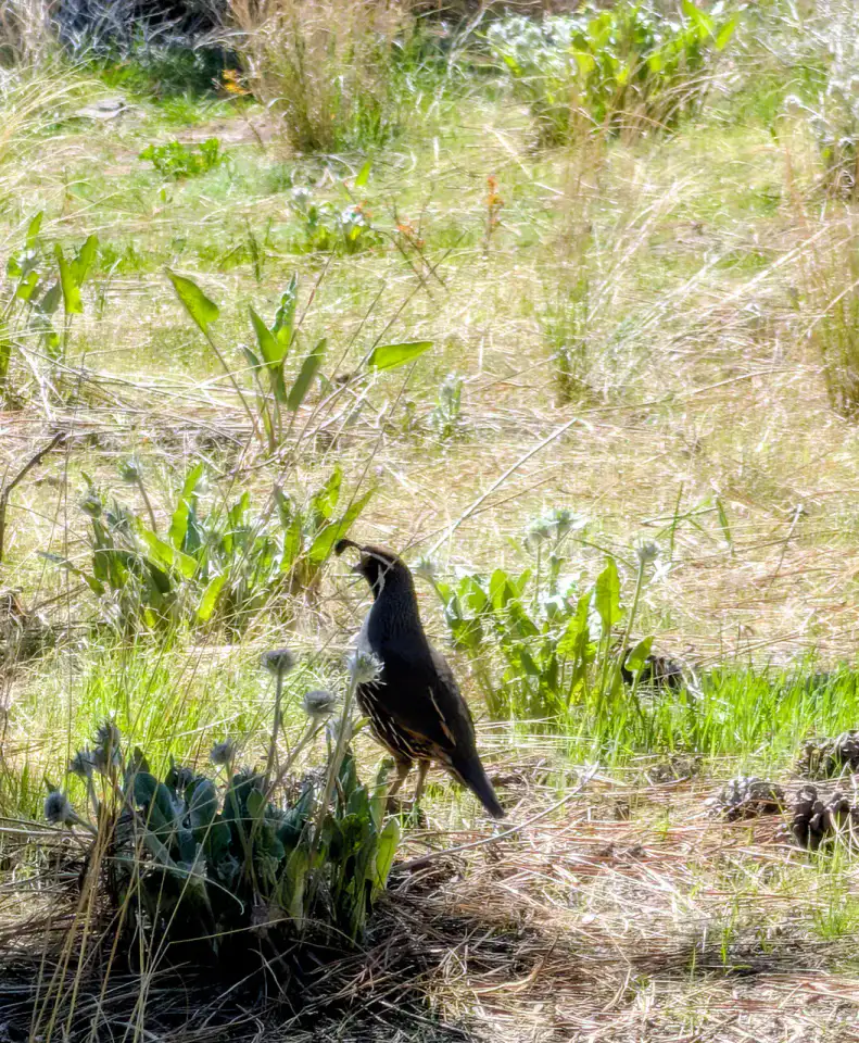 Kelowna - Vallée de l'Okanagan