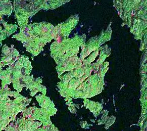 Joan Peninsula - Temagami