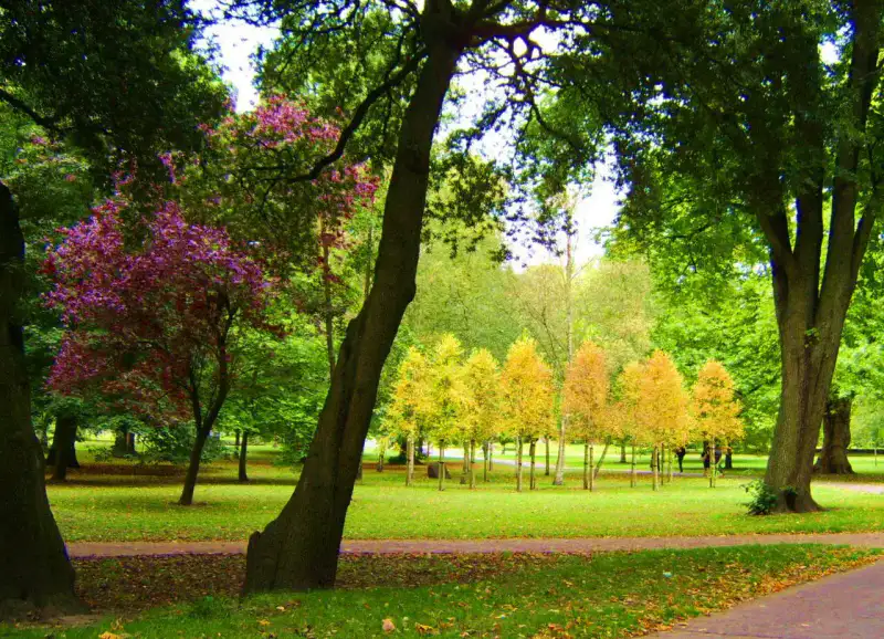 Bute Park - Cardiff et Vale of Glamorgan
