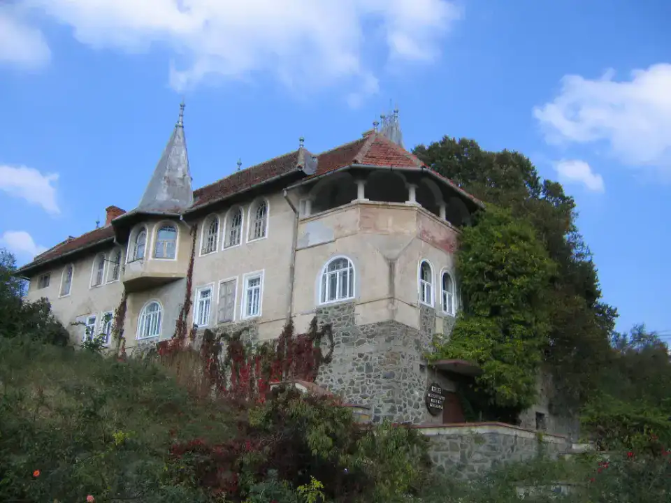 Museum of the vine and wine of Miniș