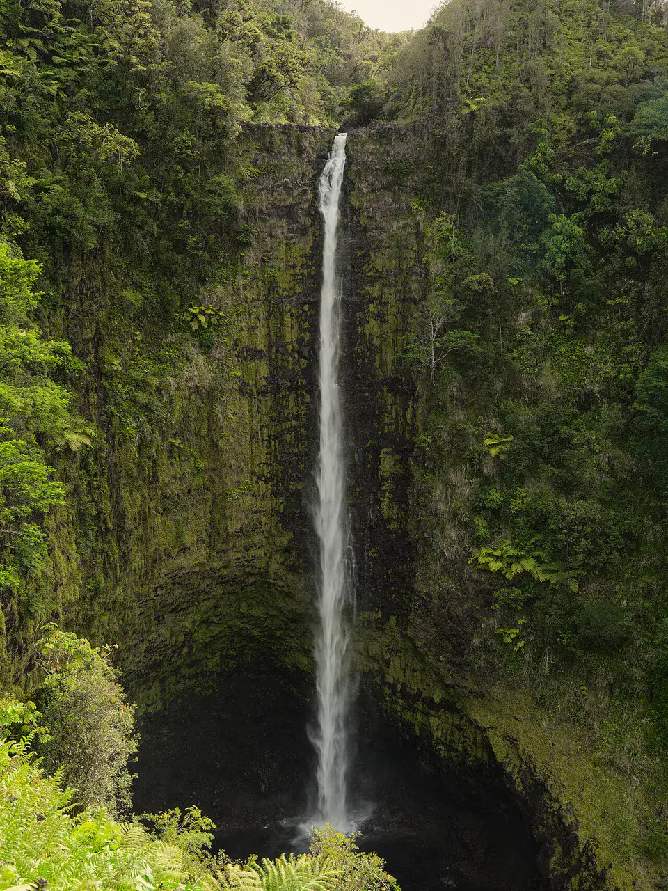 Akaka Falls - Hilo et côte de Hamakua