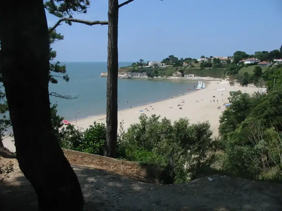 Forêt de la Coubre - Royan et Côte de Beauté
