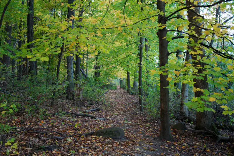 University of Wisconsin–Madison Arboretum - Madison