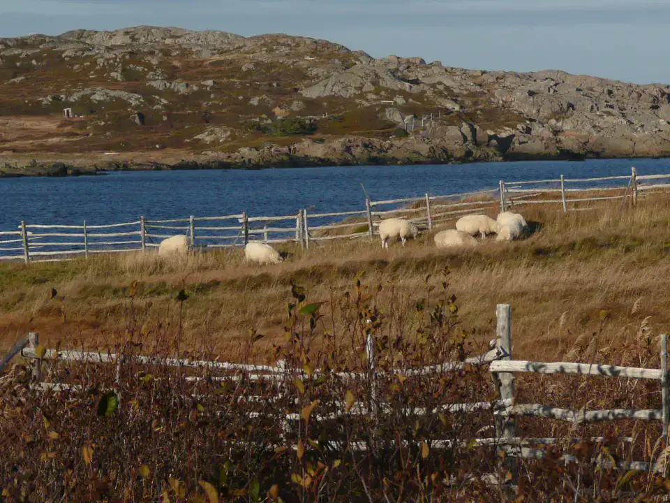 Tilting - Île Fogo