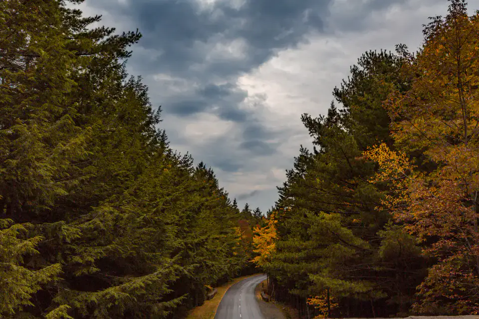 Park Loop Road - Acadia et Bar Harbor